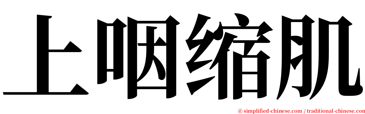 上咽缩肌 serif font