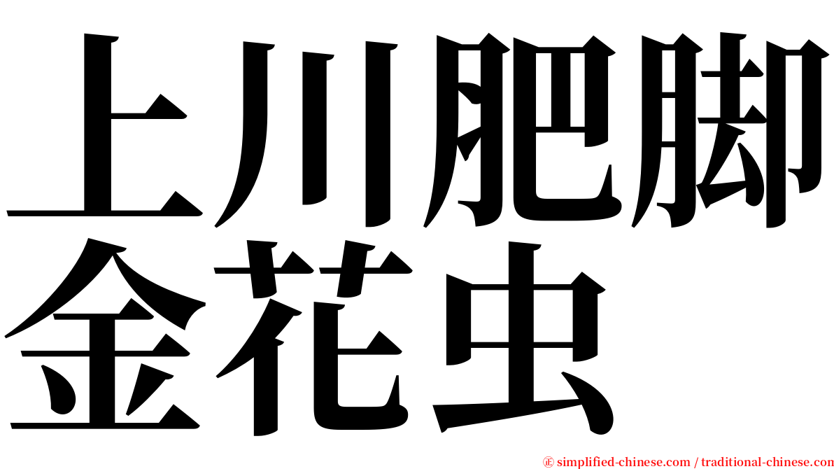 上川肥脚金花虫 serif font