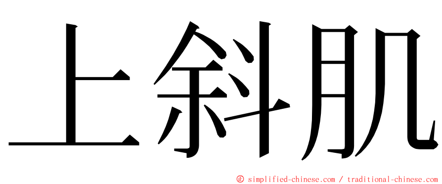 上斜肌 ming font