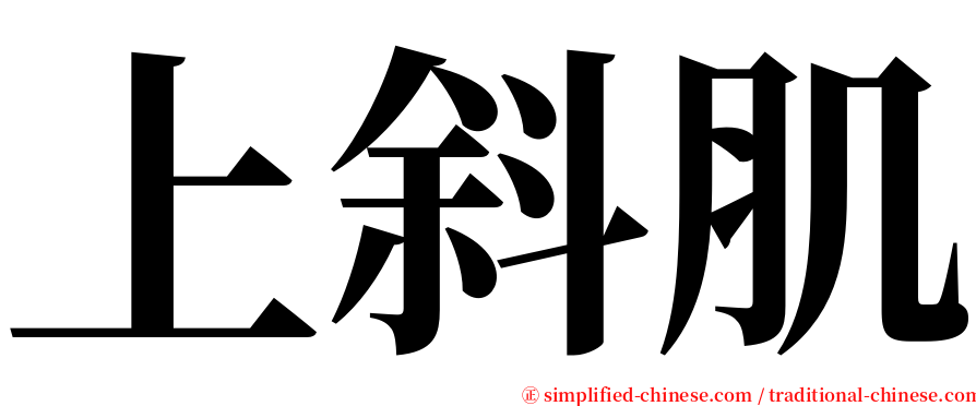 上斜肌 serif font