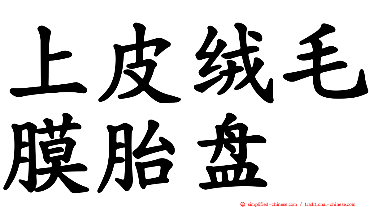 上皮绒毛膜胎盘