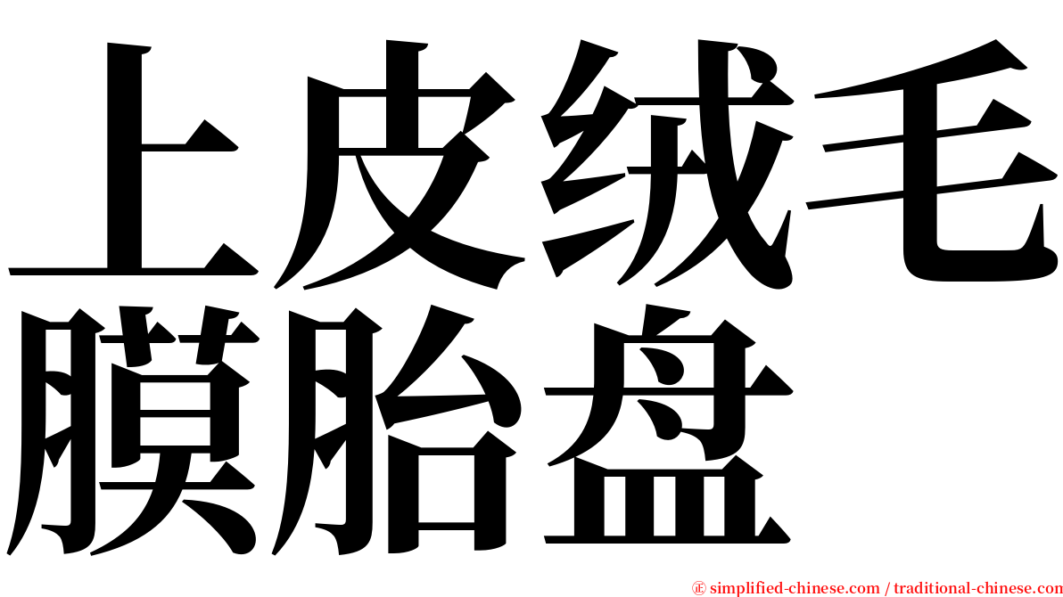上皮绒毛膜胎盘 serif font