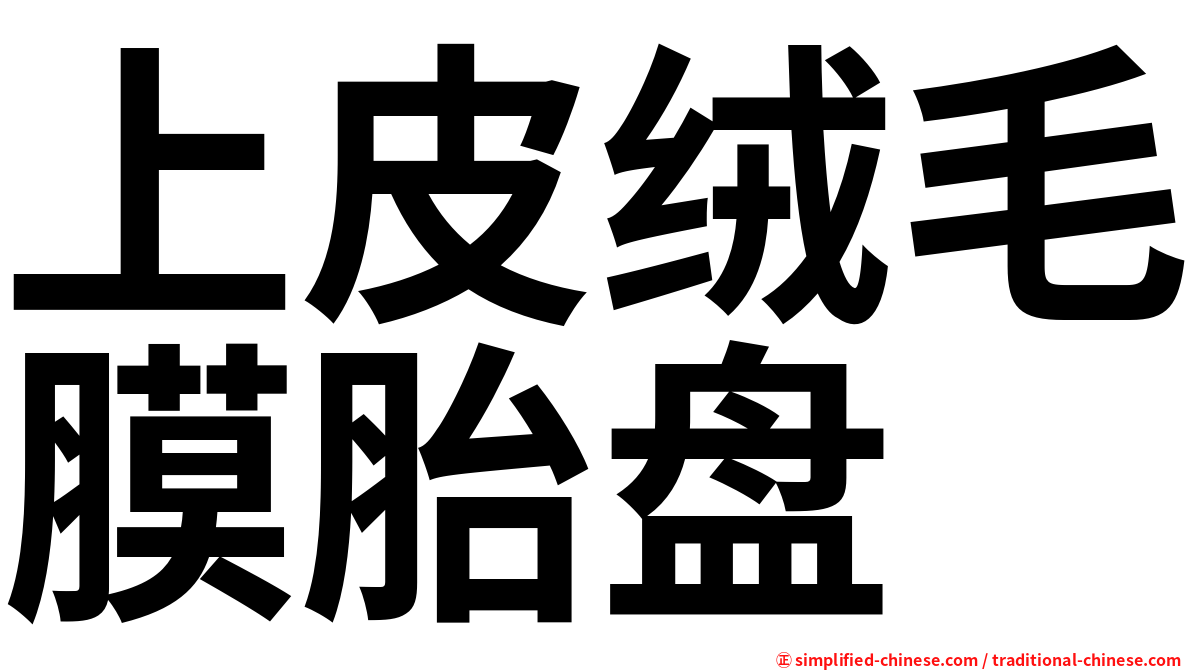上皮绒毛膜胎盘