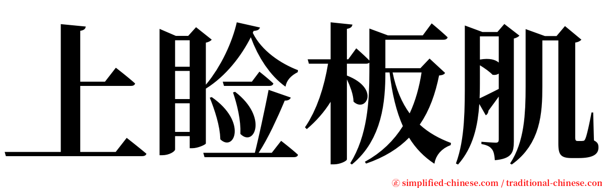 上睑板肌 serif font