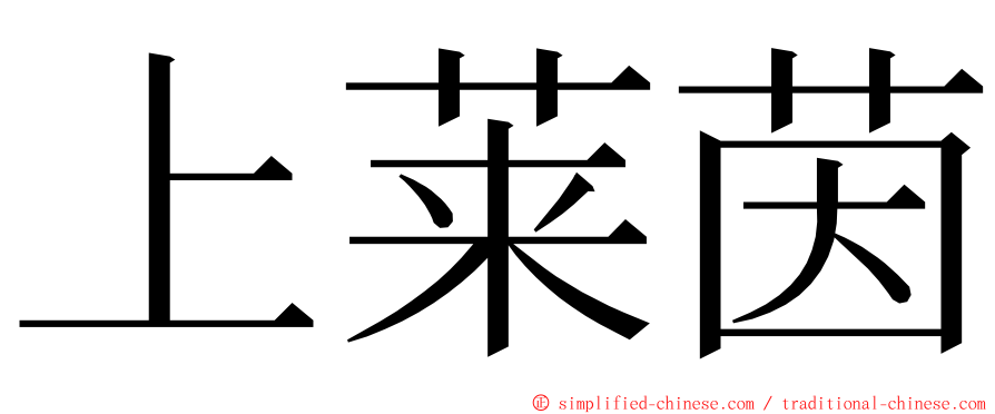 上莱茵 ming font