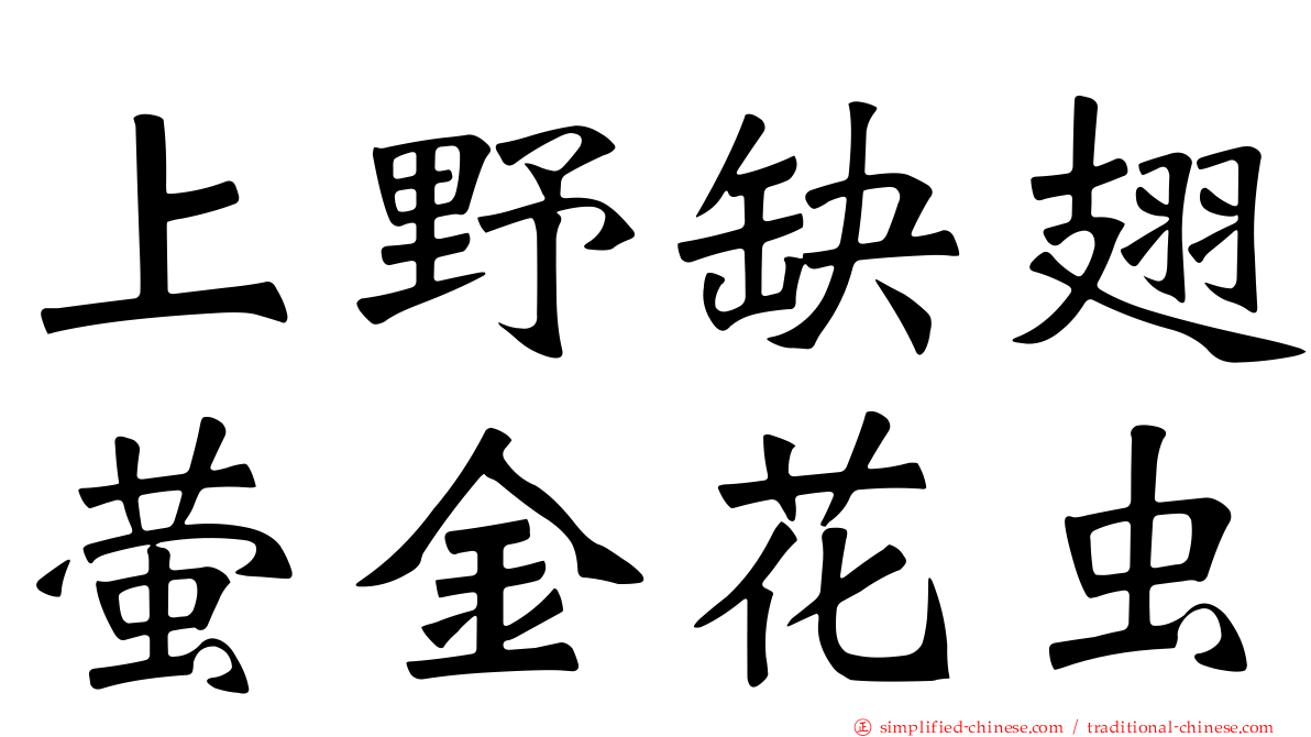 上野缺翅萤金花虫