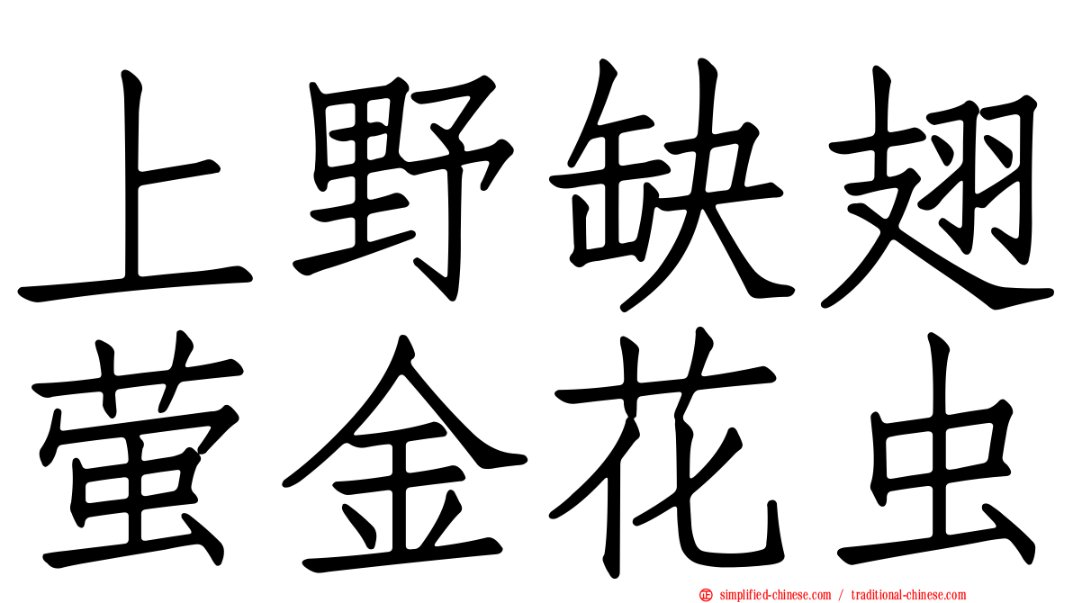 上野缺翅萤金花虫