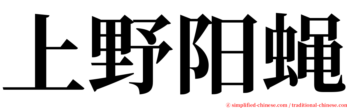 上野阳蝇 serif font