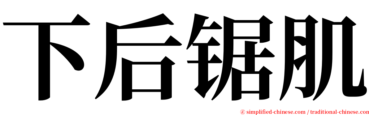 下后锯肌 serif font