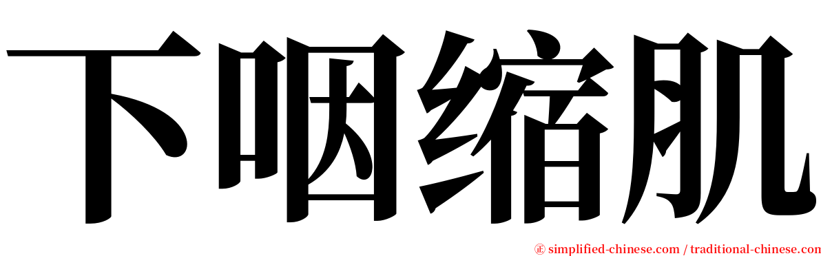 下咽缩肌 serif font