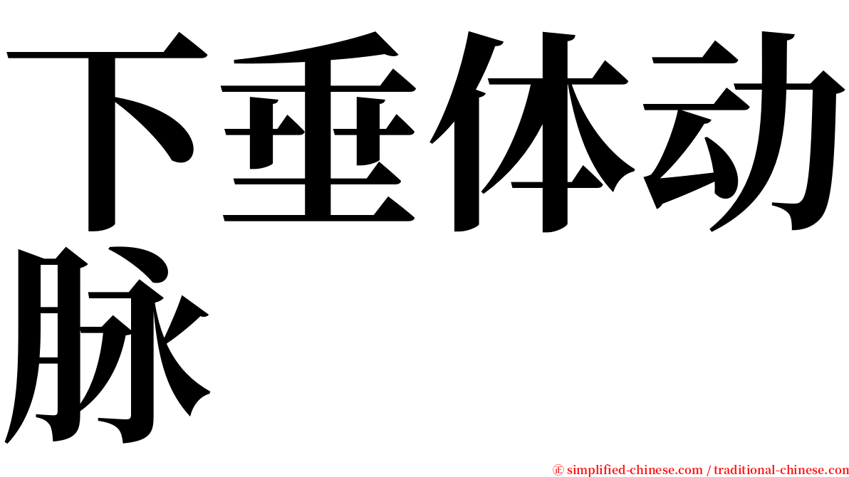 下垂体动脉 serif font