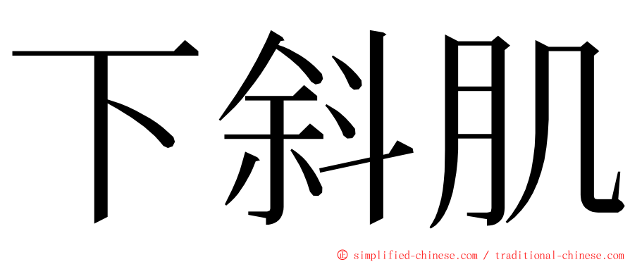 下斜肌 ming font