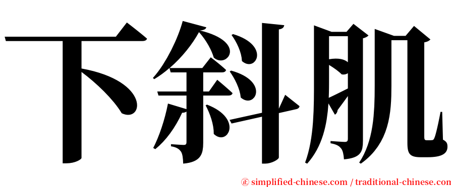 下斜肌 serif font