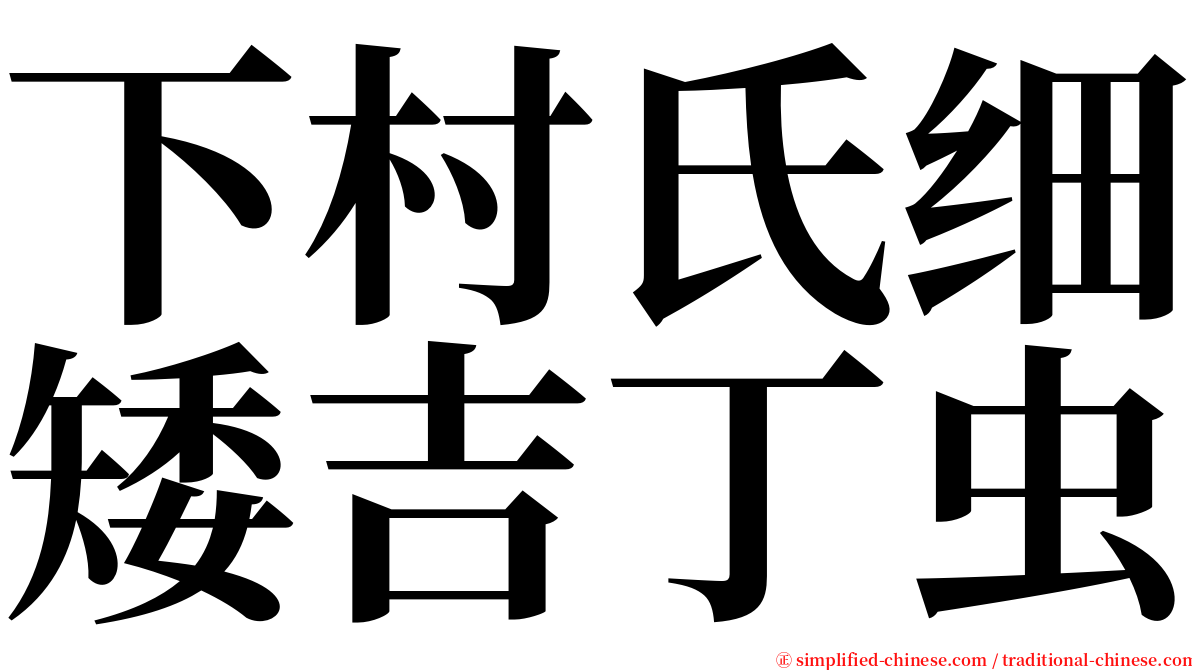 下村氏细矮吉丁虫 serif font