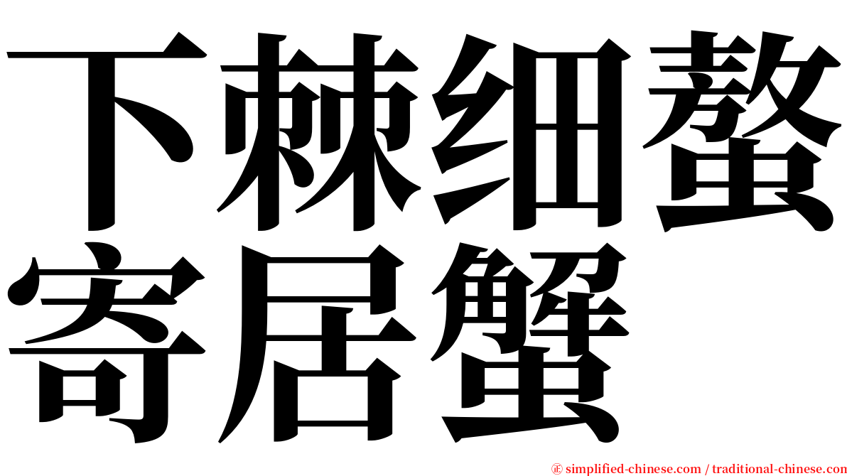 下棘细螯寄居蟹 serif font