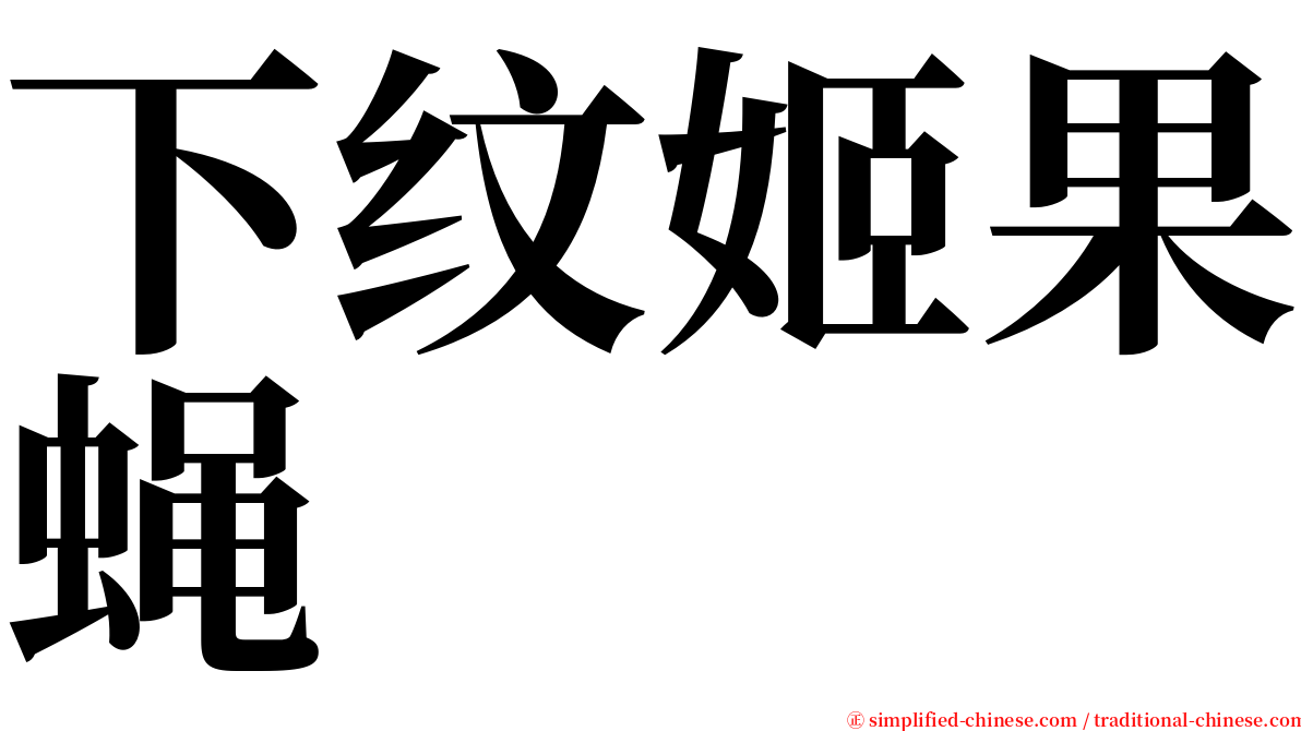 下纹姬果蝇 serif font