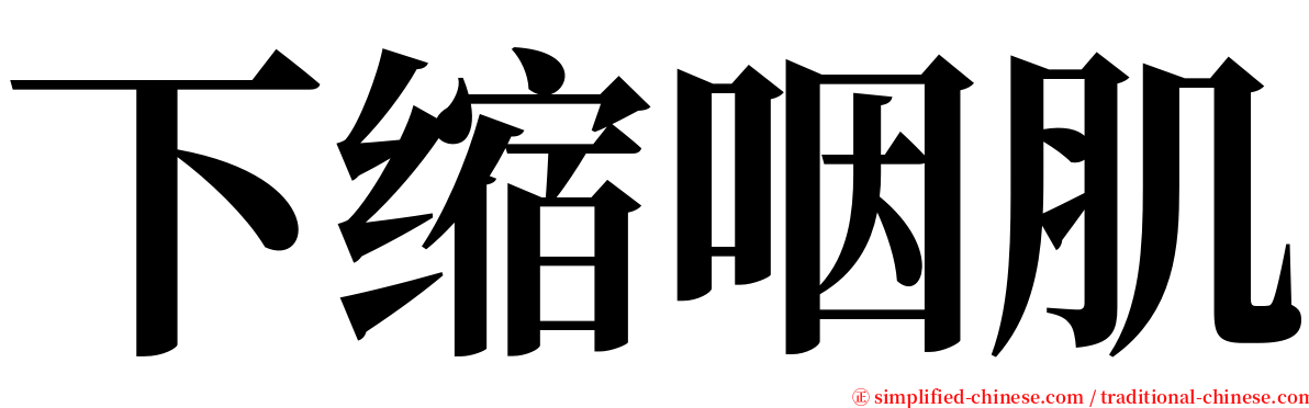 下缩咽肌 serif font