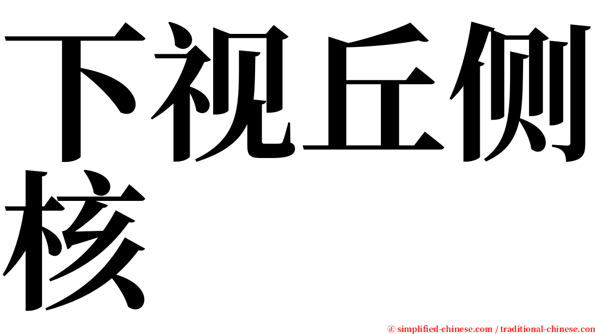 下视丘侧核 serif font