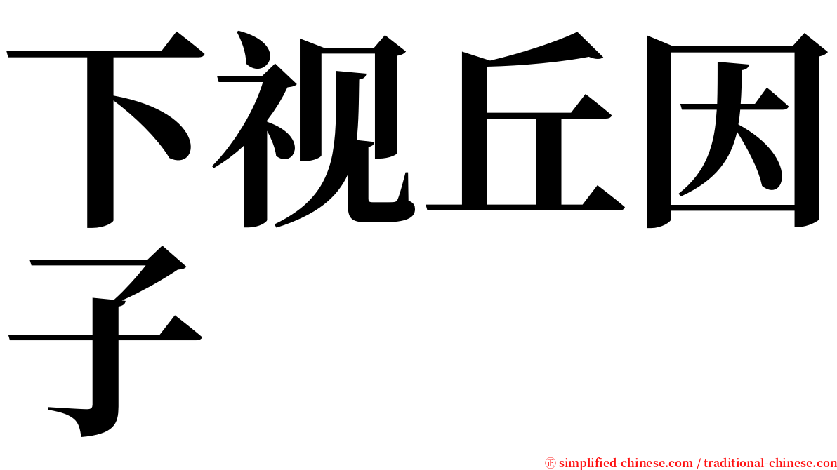 下视丘因子 serif font