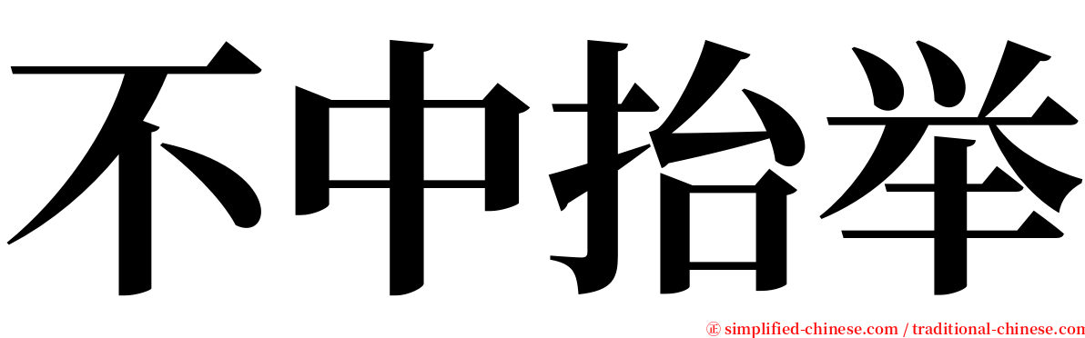 不中抬举 serif font