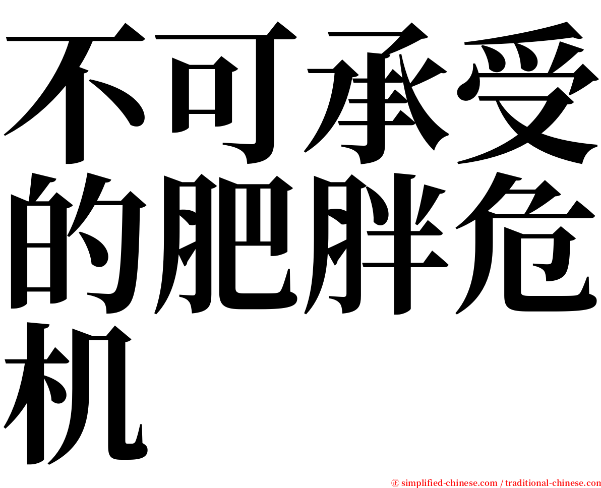 不可承受的肥胖危机 serif font