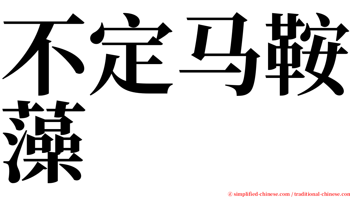 不定马鞍藻 serif font