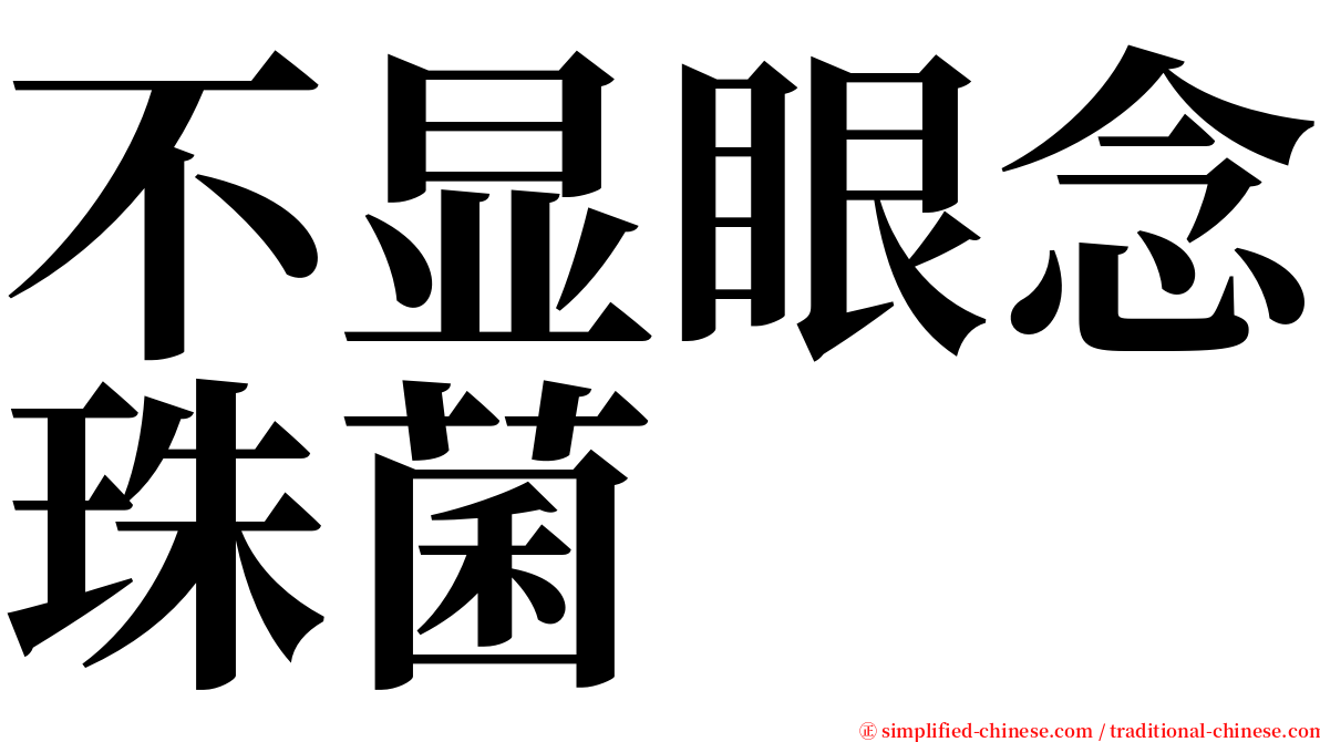 不显眼念珠菌 serif font