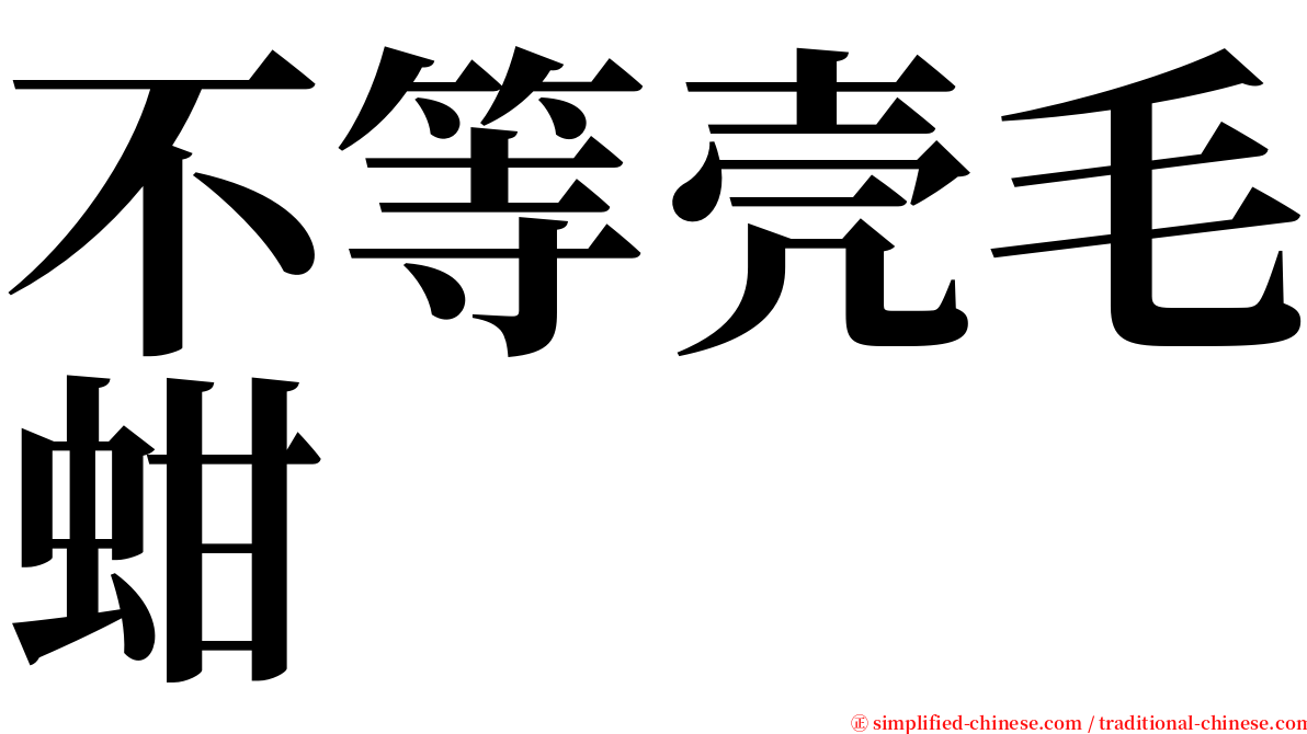 不等壳毛蚶 serif font