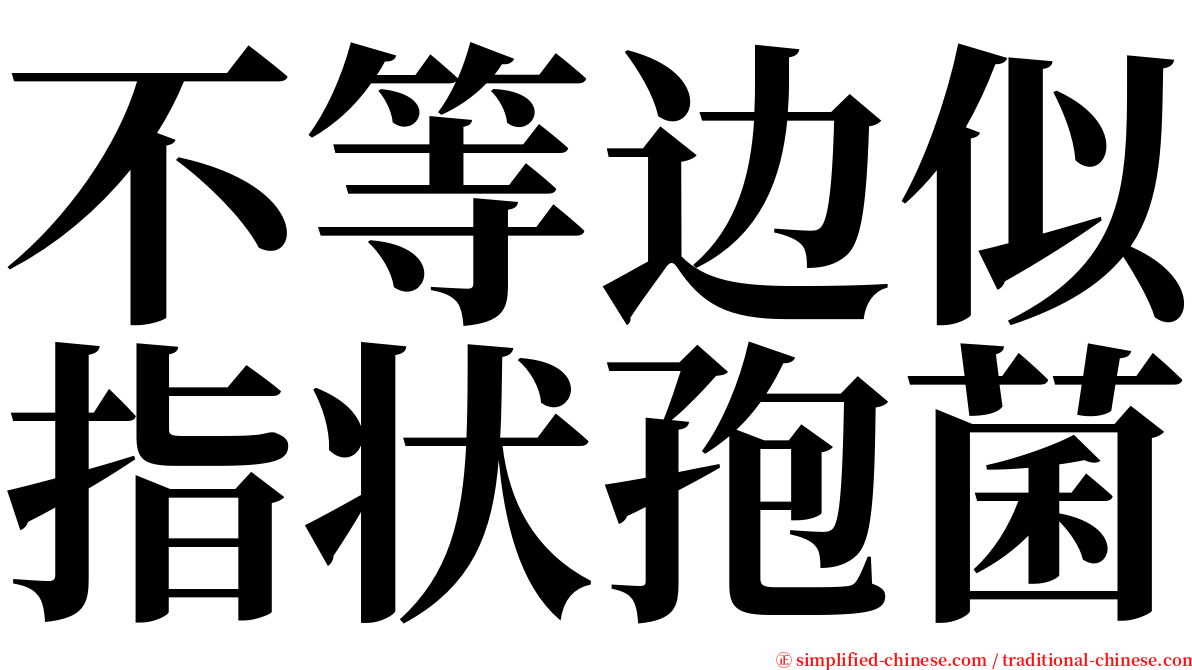 不等边似指状孢菌 serif font