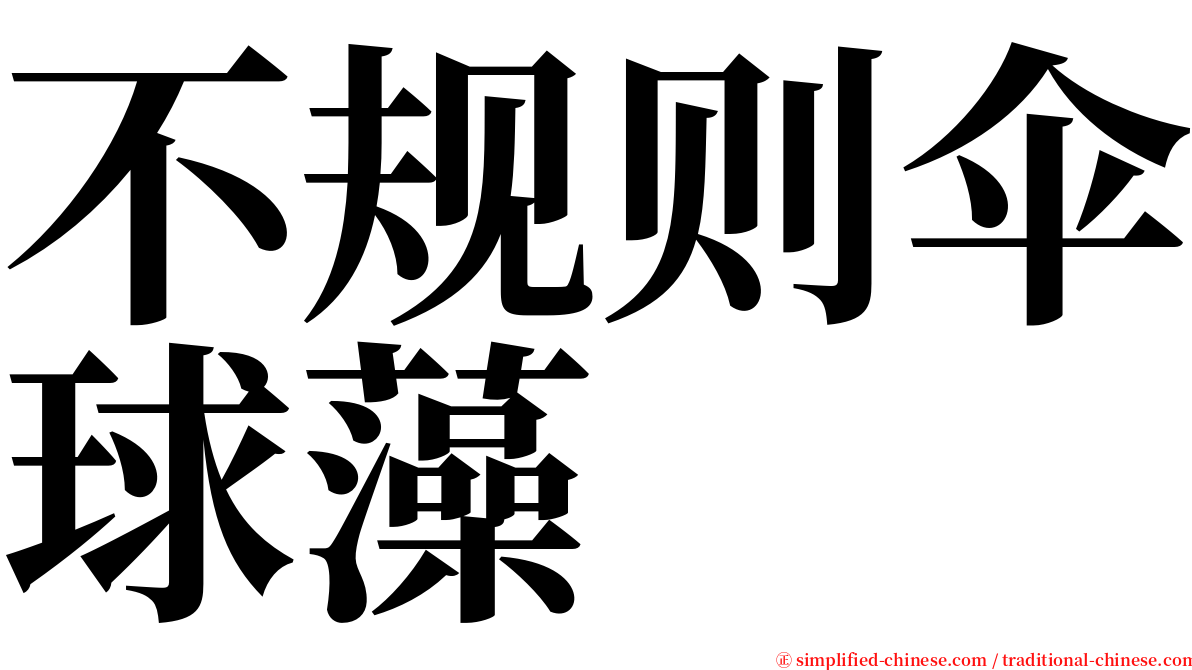 不规则伞球藻 serif font