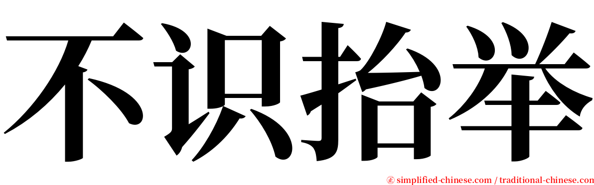 不识抬举 serif font