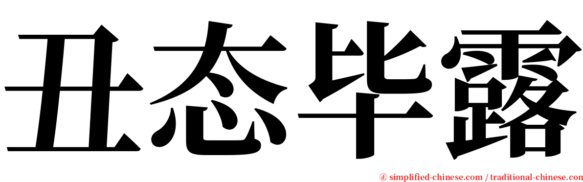 丑态毕露 serif font