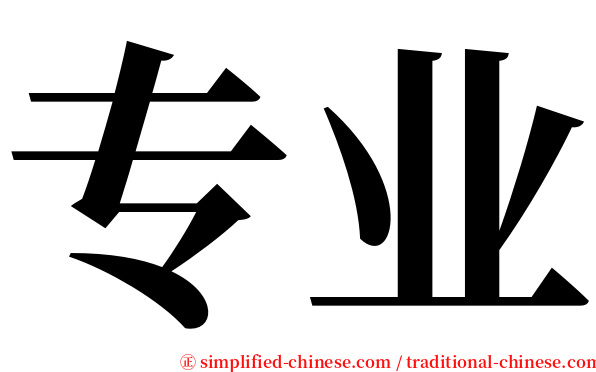 专业 serif font