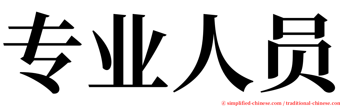 专业人员 serif font