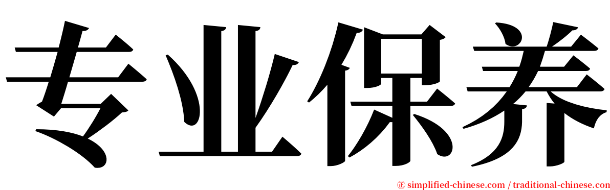 专业保养 serif font