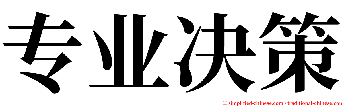 专业决策 serif font