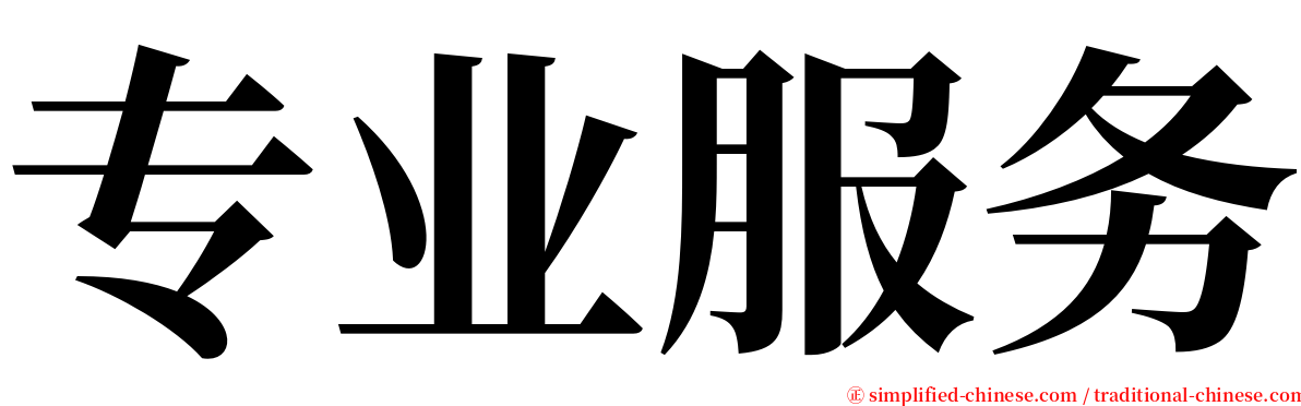 专业服务 serif font