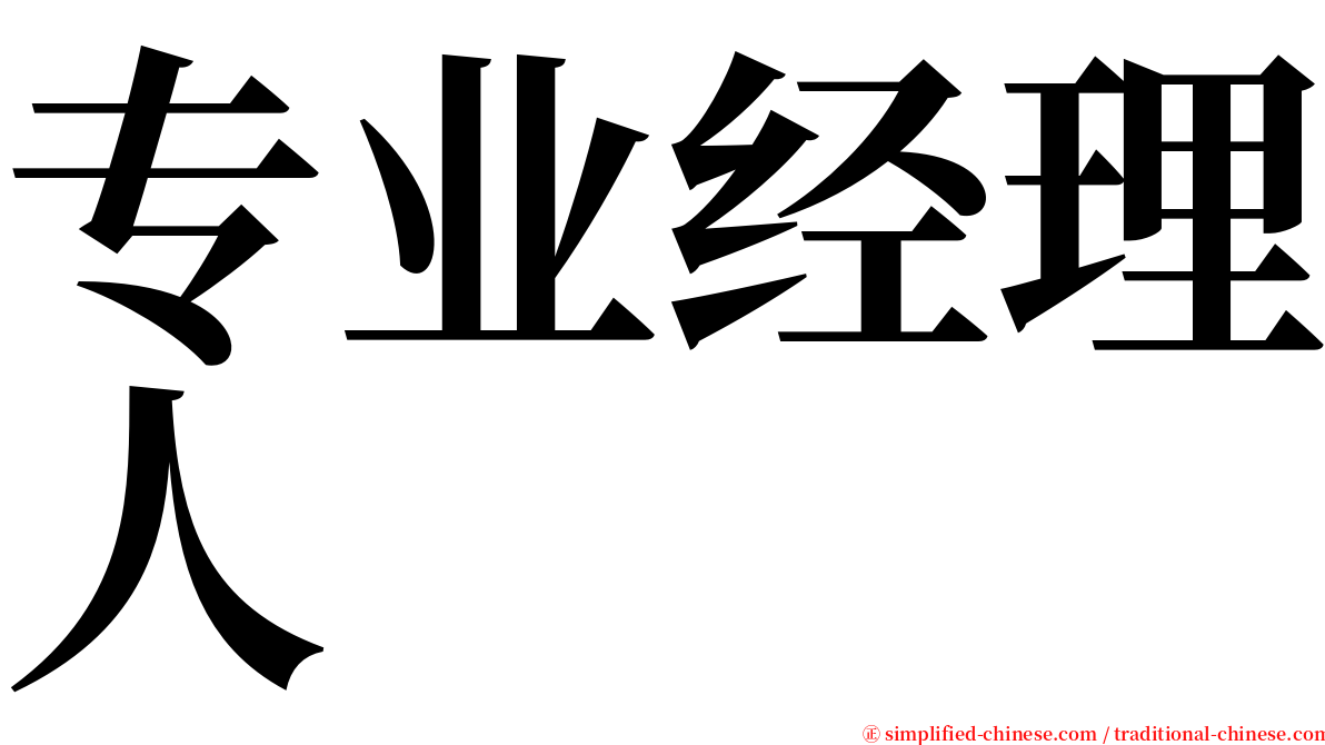 专业经理人 serif font