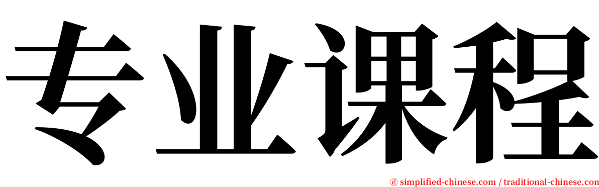 专业课程 serif font