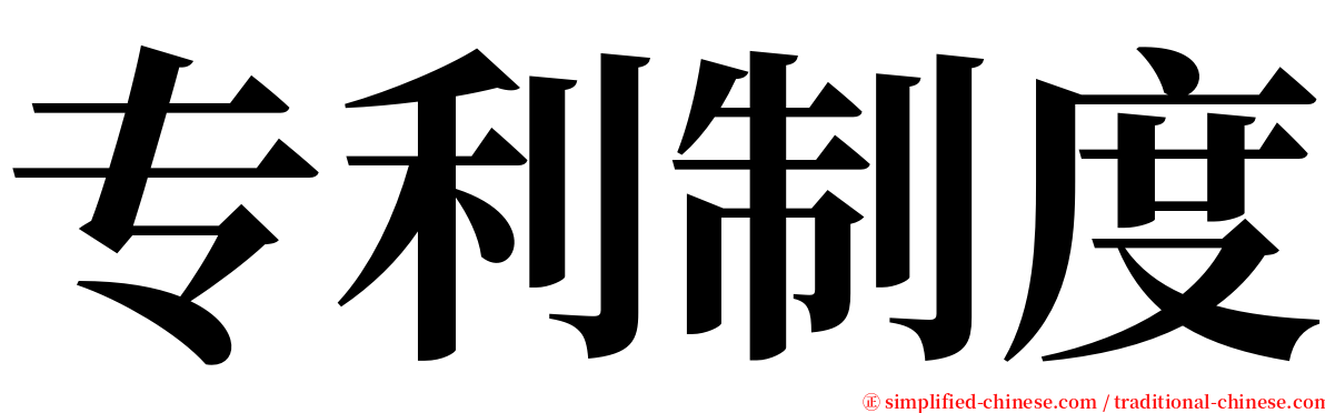 专利制度 serif font