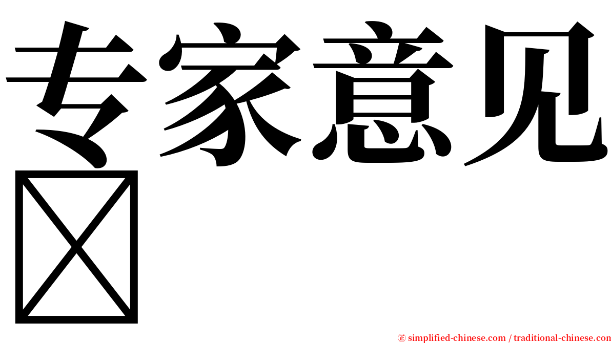 专家意见 serif font