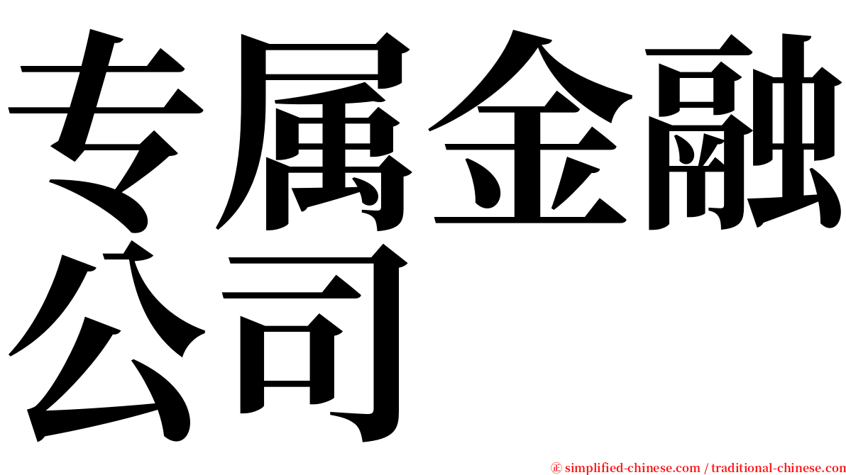 专属金融公司 serif font