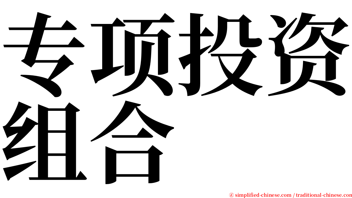 专项投资组合 serif font