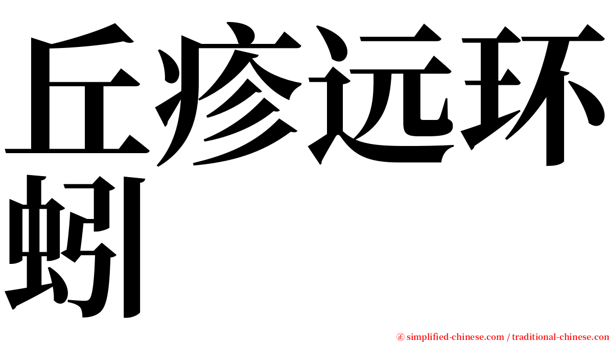 丘疹远环蚓 serif font