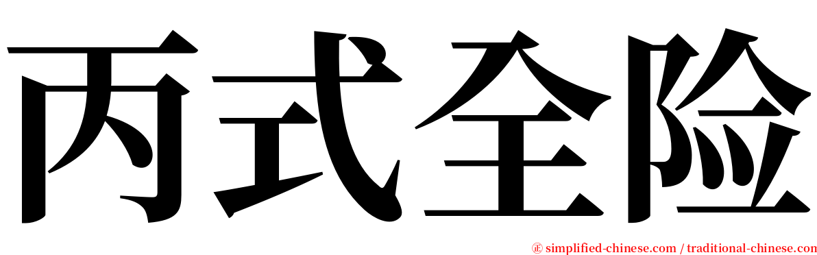 丙式全险 serif font