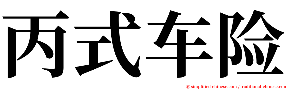 丙式车险 serif font