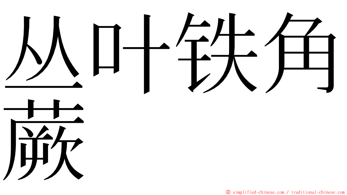 丛叶铁角蕨 ming font
