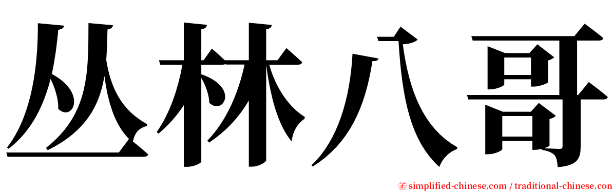 丛林八哥 serif font