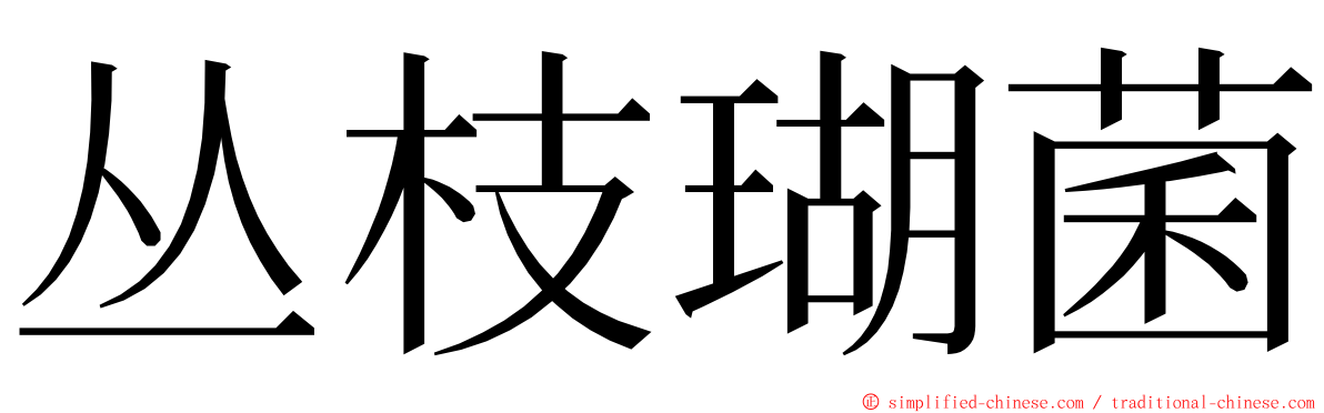 丛枝瑚菌 ming font