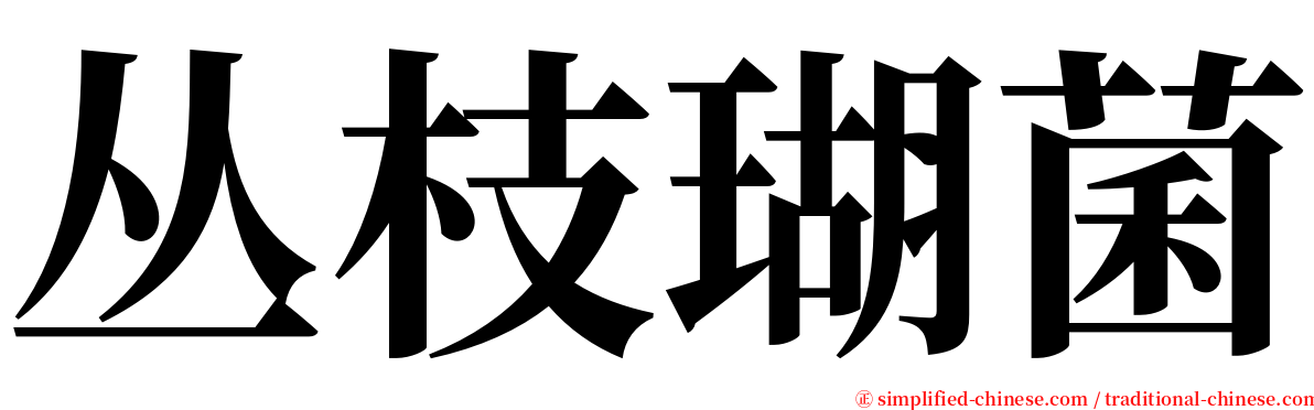 丛枝瑚菌 serif font